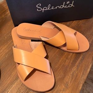 Splendid Tava Flats